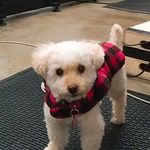 T. Edward Katsuki - @t.edwardkatsuki - Instagram