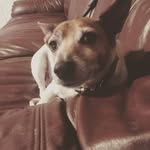 Edward Kavanagh - @edwardkav16_ - Instagram