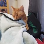 Edward Kenney - @edwardkenney51 - Instagram