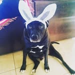 Edward Kerns - @kernskid23 - Instagram