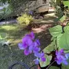 Edward Key - @edward.key5 - TikTok