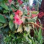 Edward Kobelo - @kobelo.edward - Instagram