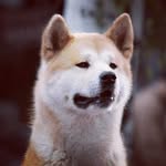 Эдвард Коэн - @edward_a_koen - Instagram