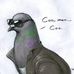 Edward Koen - Facebook