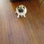 Edward Kohlhepp - @edwardkohlhepp - Instagram