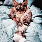 Edward Kolbe - @edwardkolbe - Instagram