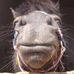 Edward Kosowski - Facebook
