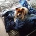 Edward Kotenko - Facebook