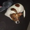 Edward Kotenko - @edward.kotenko - TikTok