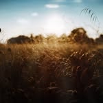 Kozel Edward - @kozeledwardiz - Instagram