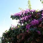 Edward Kravchinski - @edwardkravchinski - Instagram
