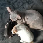 @edward_kralajs - Instagram