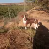 Edwardo Kriel - @edwardokriel - TikTok