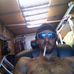 Eddie Kraszewski - Facebook