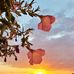 Edward Kula - Facebook