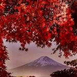Edward kumar - @edwardkumar5 - Instagram
