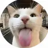 EdwardUK Uncle - @edwarduk.uncle - TikTok
