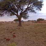 Lebo Edward Kunene - @malebog2 - Instagram