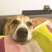 Ed Kurowski - Facebook