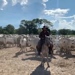 Edward Kurt Bruckner Ferrel - @edwardkbf - Instagram