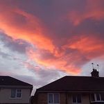 Edward Lambert - @edwardlambert11135 - Instagram
