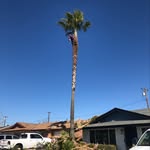 Green Earth Landscaping - @edwardlandscaper - Instagram