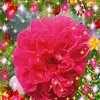 Edward Dedlanza - @edwarddedlanza - TikTok