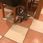 Edward Larkin - @edward.larkin - Instagram