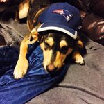 Edward Larkin - @edward.larkin.904 - Instagram