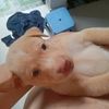 user4361500679252 - @edward_leigh - TikTok