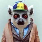 Edward Lemur - @edwardlemur - Instagram
