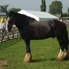 edward_lenze - @edward_lenze - TikTok