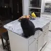 Edward Levasseur - @edward.levasseur - TikTok