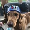 Edward Levitt - @edward.levitt3 - TikTok