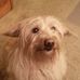 Edward R. Loucks - Facebook