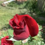 Edward Lowry - @easyeml40 - Instagram