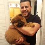 Edward Lugo - @edward.lugo.39904 - Instagram