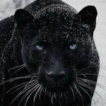 行穩致遠 - @edwardmaier9 - Instagram