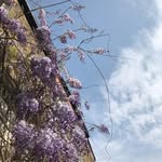 @edwardianmaisonette - Instagram