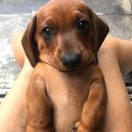 Edward Mares - @edwardmares9 - Instagram