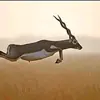Edward Mark - @edward.mark96 - TikTok