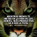 Eduardo Marroquin Perez - @edward_marroquin - Instagram