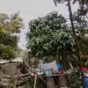 Edward Marr655 - @edwardmarr4 - TikTok