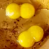 edwardmarr447 - @edwardmarr447 - TikTok