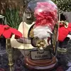 Edward McCann - @edward.mccann - TikTok