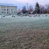Edward Mccartney - @edward.mccartney - TikTok