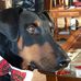 ED McPeak - Facebook