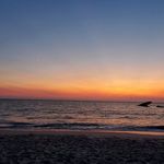 Edward Meade - @egmeade60 - Instagram