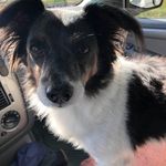 Edward Meeks - @meeksfy - Instagram