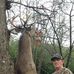 Edward Melton - Facebook